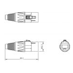 Outdoor CAT6 UTP Ethernet Cable with SW8MC-03-N Male Connector - 15 Feet